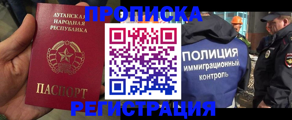 прописка поиск в Курчалом